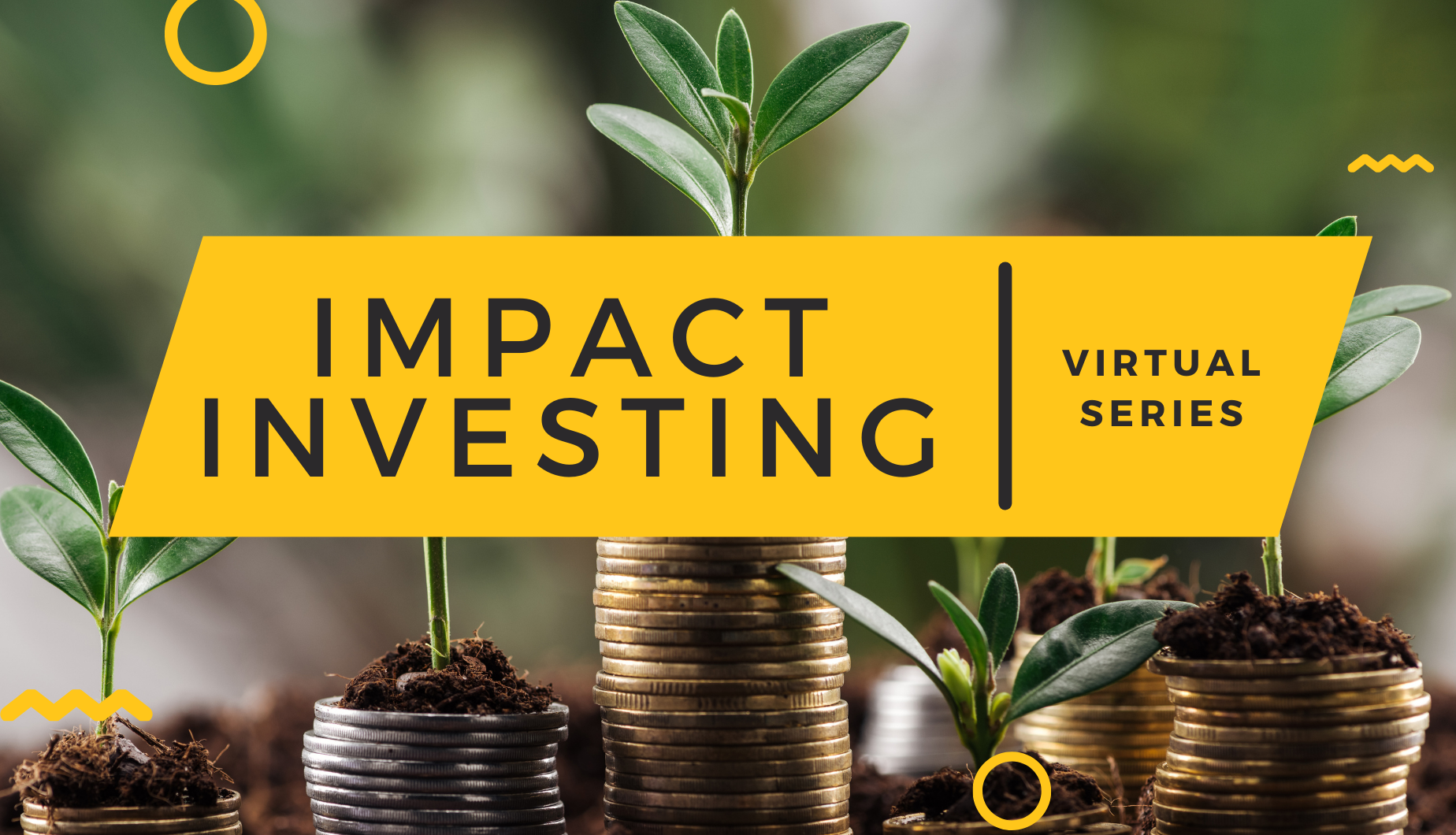 Impact Investing - Explara.png